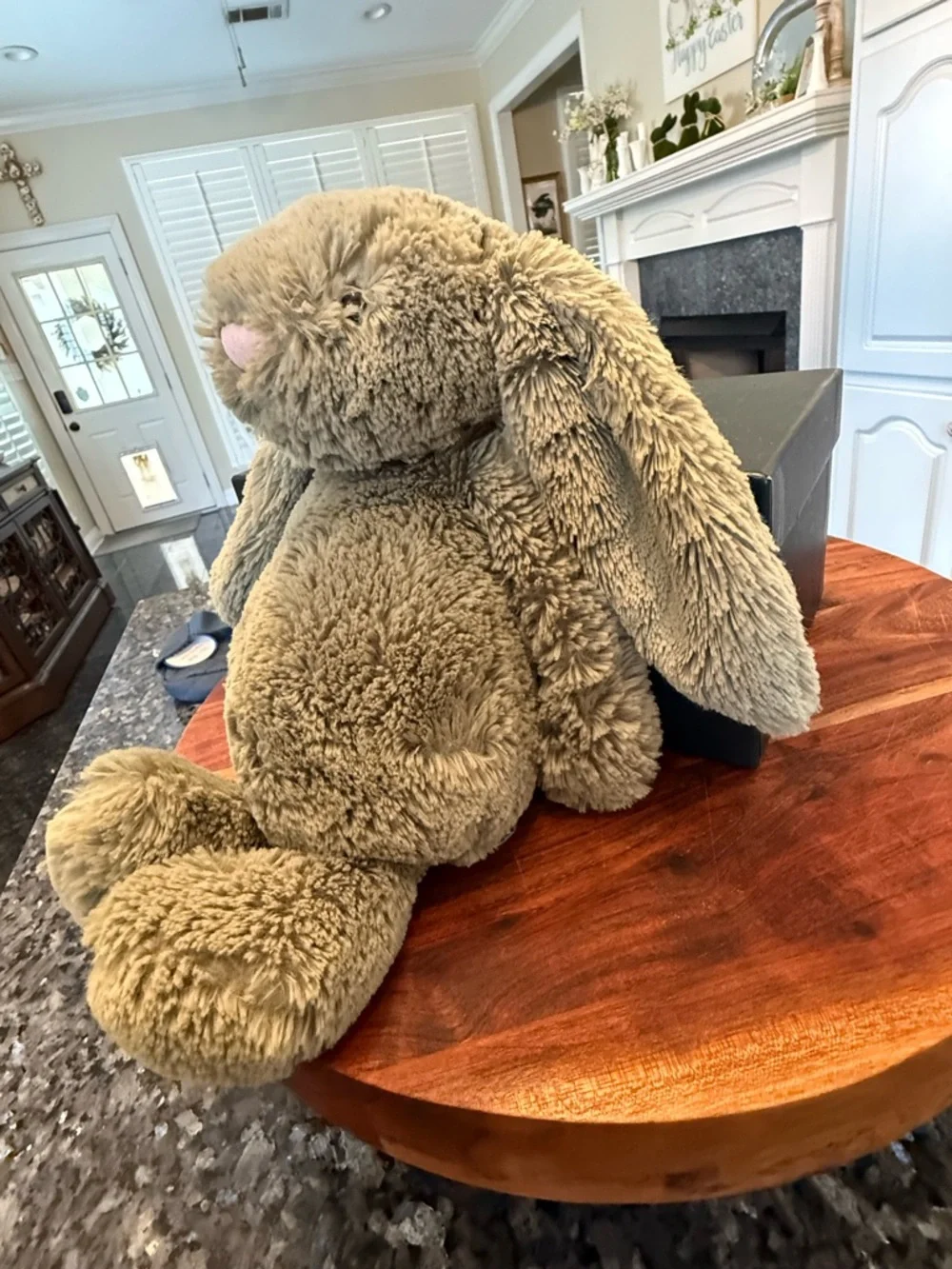 Medium Bashful Fern Bunny Jellycat - Retired & Authentic Design - Picture 4 of 11